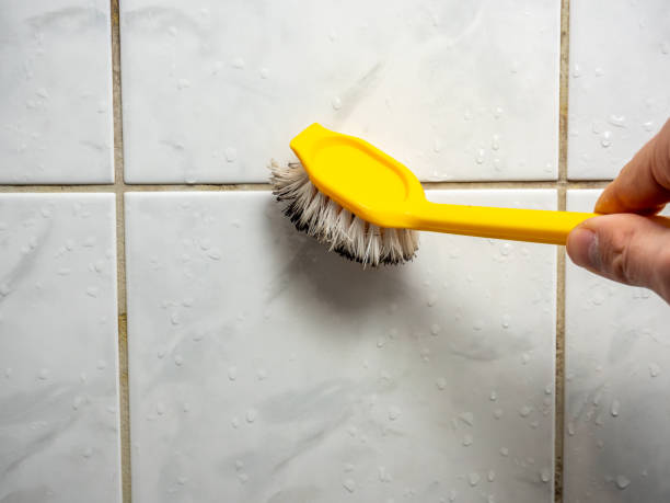 Best Mold Inspection  in Valdosta, GA