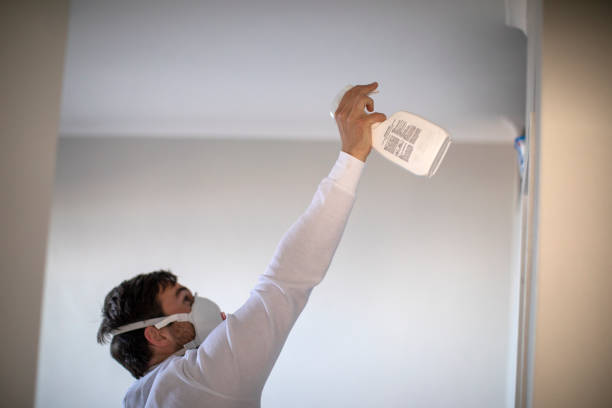 Best Toxic Mold Removal  in Valdosta, GA
