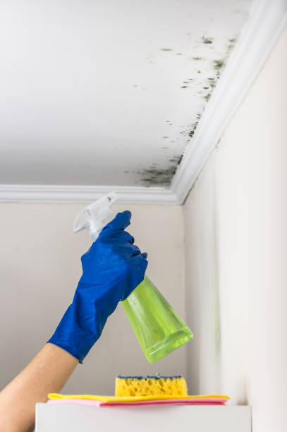 Best Mold Testing  in Valdosta, GA